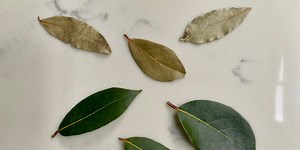 Does Bay Leaf REALLY Make a Difference When You're Cooking?