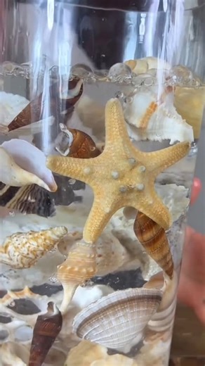 Do This with Your Seashells – It’s So Pretty and Easy!