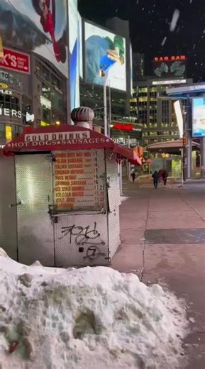 Toronto life🇨🇦Snowy Nights in Toronto Just Hit Different ❄️🌭 #snow #torontolife #canadiancity
