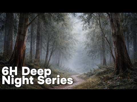 Moonlit Forest Path XII – 6 Hours Natural Sleep Forest Sounds