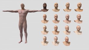 Human Males - 3D model by Studio Lab (@studiolab.dev)