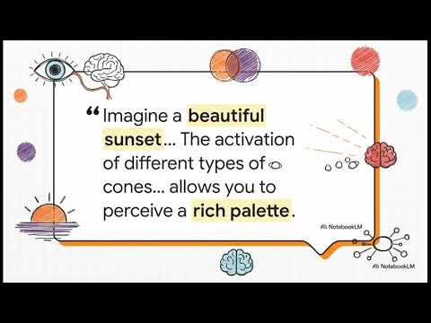 Unit 1.6. Sensations- Vision How We See The World