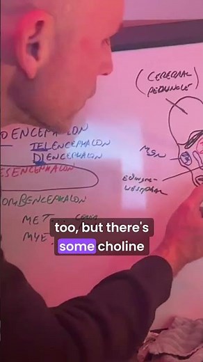 Neurulation cranial nerves & eye movements from the spectrum's