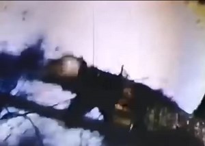 Logging | Historical Pictures