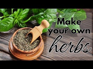 From Garden to Gourmet - creating basil as a spice