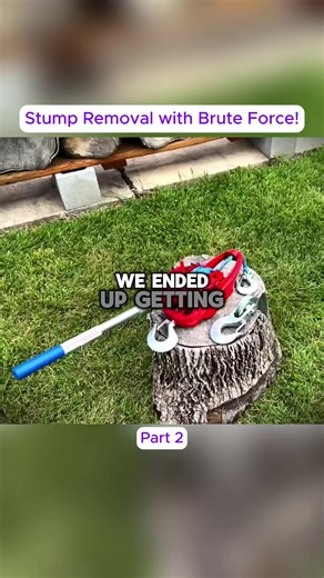 Stump Removal Techniques Using Physics and Pulley Systems