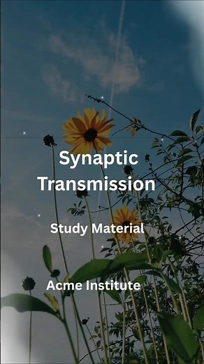 Synaptic Transmission Study Material