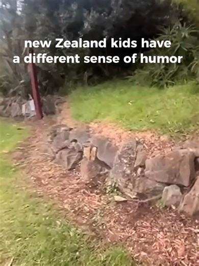 Newzealand is built different 👊 one way to tell the story #NZLife #NZUnfiltered #maori #land