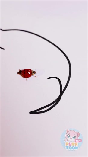 🌈 Embark on a Colorful Adventure with Ladybug! 🎉✨