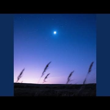 The Night I Felt Free