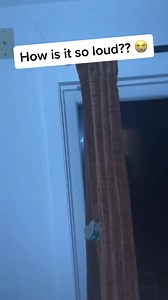 19K views · 1.3K reactions | Why crickets make that sound… #science #funfacts #Learning #DidYouKnow #funnyreels #storytelling #factsdaily | KBacon | Facebook