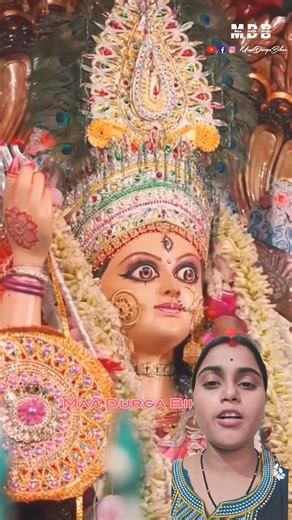 A Disabled duckling helps his cat friends 🐥 #DuckRescue #CuteAnimal #AnimalRescue