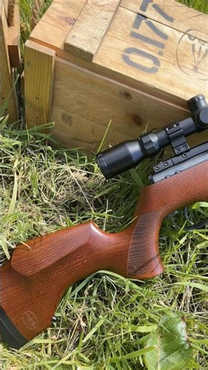 The BSA Lightning CLX spring gun in beech ⚡️