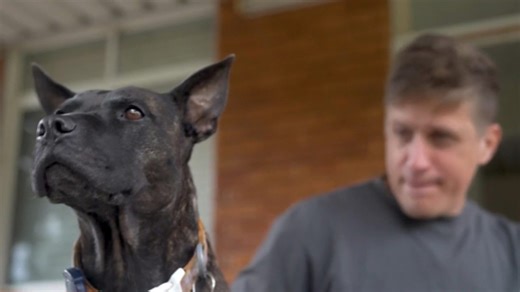 AI expert designs cancer vaccine for his dog using ChatGPT