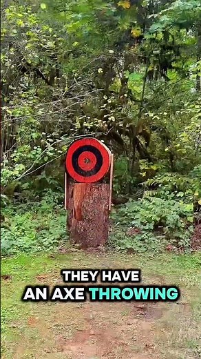 Ax throwing target