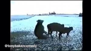 189K views · 3.2K reactions |   | Tony Baker | Facebook