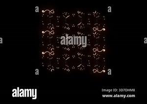 Beautiful colorful flower animation video