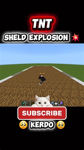 Sheld explosion 💥💣 in minecraft #minecraft #shorts #shortsfeed