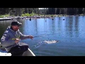 Bass Fishing Crane Prairie Reservoir