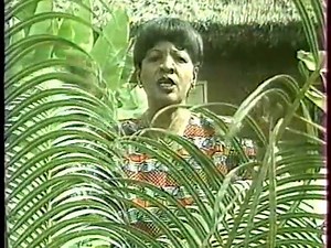 10K views · 173 reactions | Amy Koita - Diarabi | Mande Tv Music | Facebook