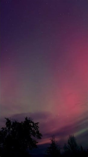 NIGHT CRICKETS | Peaceful Night 🎧 #shorts #sleepsounds #rainsounds