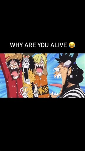 @luffy.979 on Instagram: "The “Going Merry” and “Thousand Sunny” are the two ships of the Straw Hat Pirates in the One Piece series. The Going Merry was their first ship, a caravel, that they used throughout the East Blue and into the Grand Line until it was destroyed. The Thousand Sunny, a brigantine, was built to replace it and is the current ship of the Straw Hat Pirates. Going Merry: First Ship: The Going Merry was the first ship of the Straw Hat Pirates. Caravel Class: It is a caravel-class