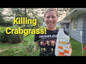 How to Kill Crabgrass without hurting your Lawn!!