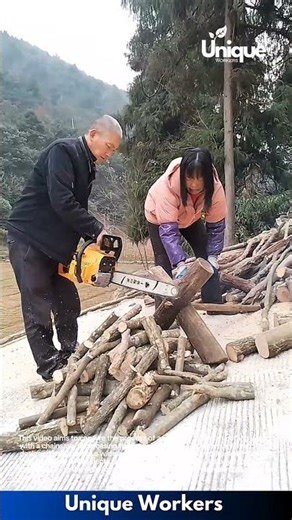 Sawing wood: a simple guide to cutting wood with a chainsaw