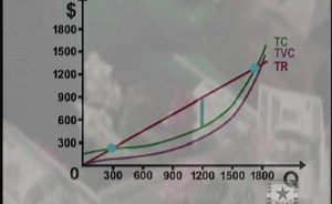 Competitive Markets: Part 3
