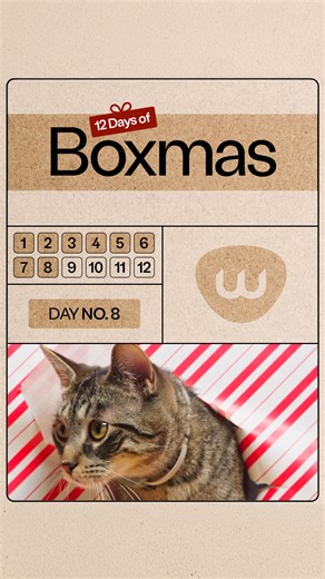 Litter-Robot by Whisker on Instagram: "🎄 🎁 12 Days of Boxmas | Day 8 🎁 🎄 On the 8th day of Boxmas, we’re deep in the holiday photo trenches. 🎀📸 For today’s 12 Days of Boxmas giveaway entry, tag a friend who you think should do this trend — and tag @whisker and @thelitterrobot in your own photo if you try this! Because trust us… we’re deeply invested in this wrapping paper chaos. 🎁😂 No purchase necessary. Giveaway to run December 1st