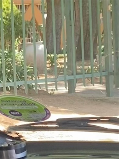 BIGDON NEO’S (@bigdon.neos)’s videos with original sound - BIGDON NEO’S