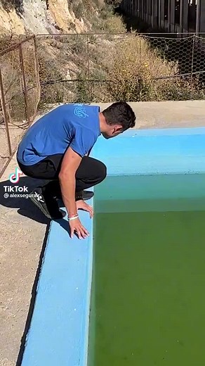 Videos de Alex segura (@_alex_segura) con “sonido original - Alex segura”