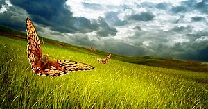 Focusing: the body psychotherapy of Eugene Gendlin - yes, therapy helps!