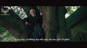 96K views · 5.6K reactions | [VIETSUB] Harry Potter và chiếc cốc lửa...