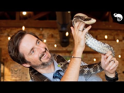 Welcome to Clint's Reptiles!