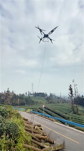TopXGun Y160 Delivery Drone | Timber Transport Applications