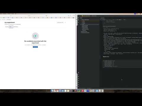 Model Experiments overview