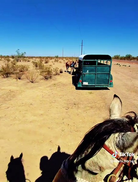 #davishorses #learningexpresstoys #cowboybebop #meta just another great experience watch how the ride starts and it ends. Stay tuned.