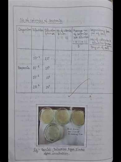 Isolation pf different microorganisms from soil by serial dilution plating method #biology #trending