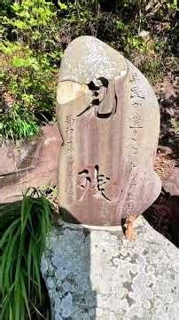 ビデオレター #高知県 #土佐清水市 #見残し海岸 #木彫り #猫 との #旅 #ドライブ #観光