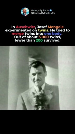 3,000 Twins. FEWER Than 200 Survived. #history #shortvideo #ww2 #holocaustremembrance