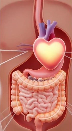 What Happens When You Eat Banana? | 3D Animated Health Benefits Explained