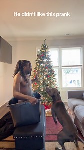 89K views · 1.8K reactions |  Dog Prank gone wrong藍#kingzaythatruth #fypシ゚viral #dogprank #prank #ouch #gotem #doglover #fypage #gotyou #offguard #fyp #foryoupage | KingZay ThaTruth | Facebook