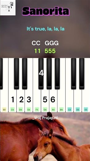 Señorita Piano Tutorial 🎹 | Camila Cabello | Easy Notes #Shorts