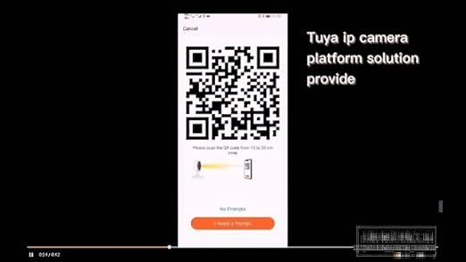 Tuya Smart Life Security Camera with Alexa