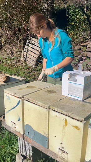 L’acaro Varroa destructor e’ un parassita che porta alla morte della colonia. Entrato in Italia nel 1981 è la causa dell’estinzione delle colonie allo stato selvatico. #varroa #varroadestructor | Roberta Butterini