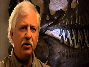 Acrocanthosaurus atokensis