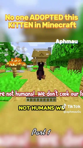 Aphmau Fans on TikTok
