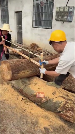 Incredible Rhythm! Mastering the Giant Two Person Frame Saw